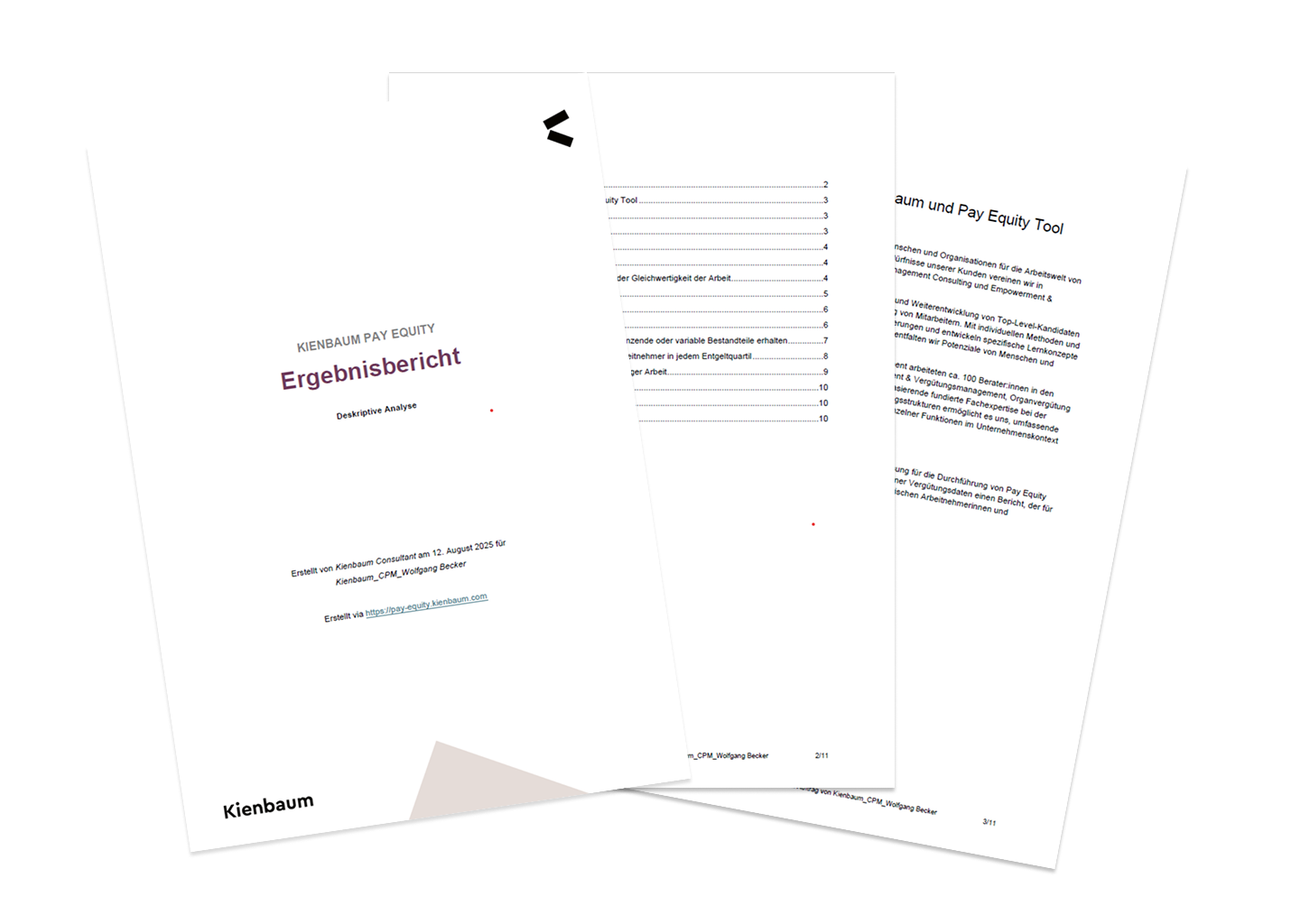 Ergebnisbericht-Report-Pay-Equity-Tool-Kienbaum